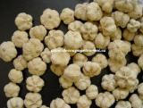 Plody Paras Pumpkin 2 - 3 cm mix, 10 ks/bal.